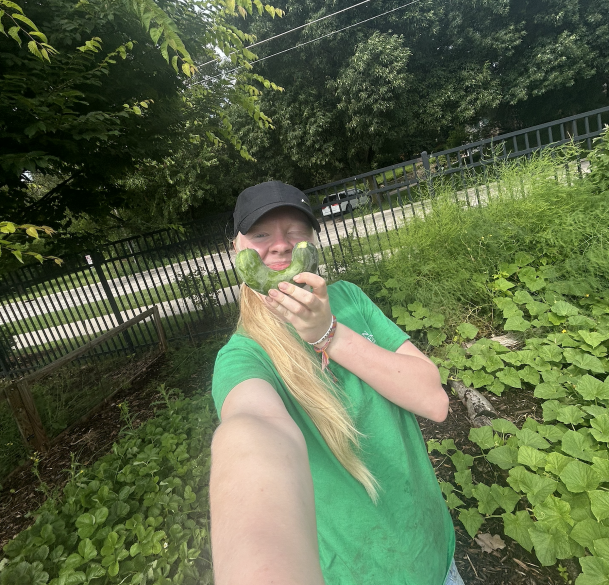 CUCUMBERS