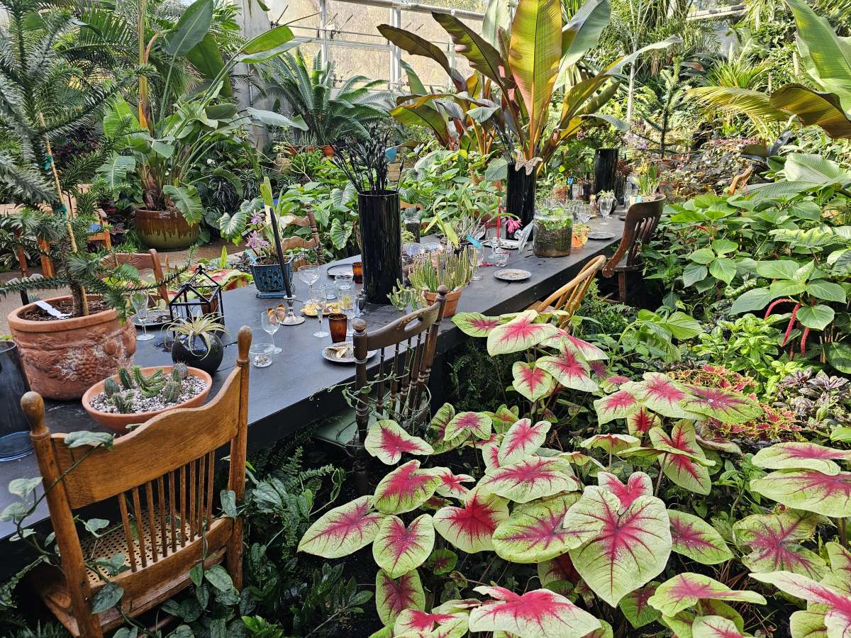 Gothic Garden Party Hughes Conservatory