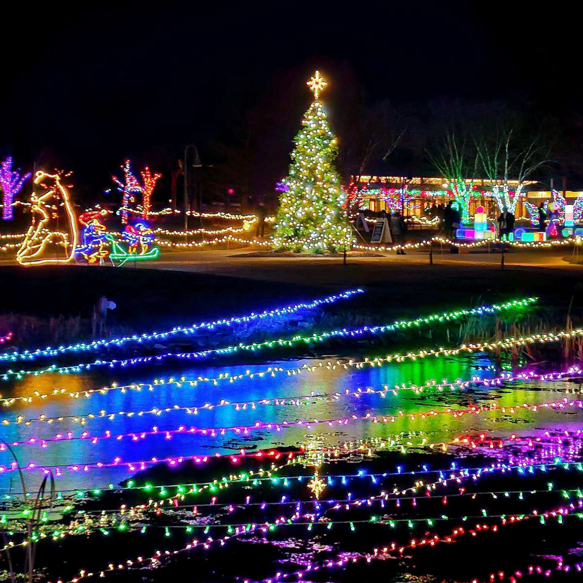 Colorful lights over a lake at a public garden holiday light show