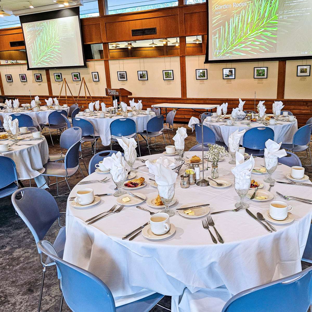 Garden room set up for dinner