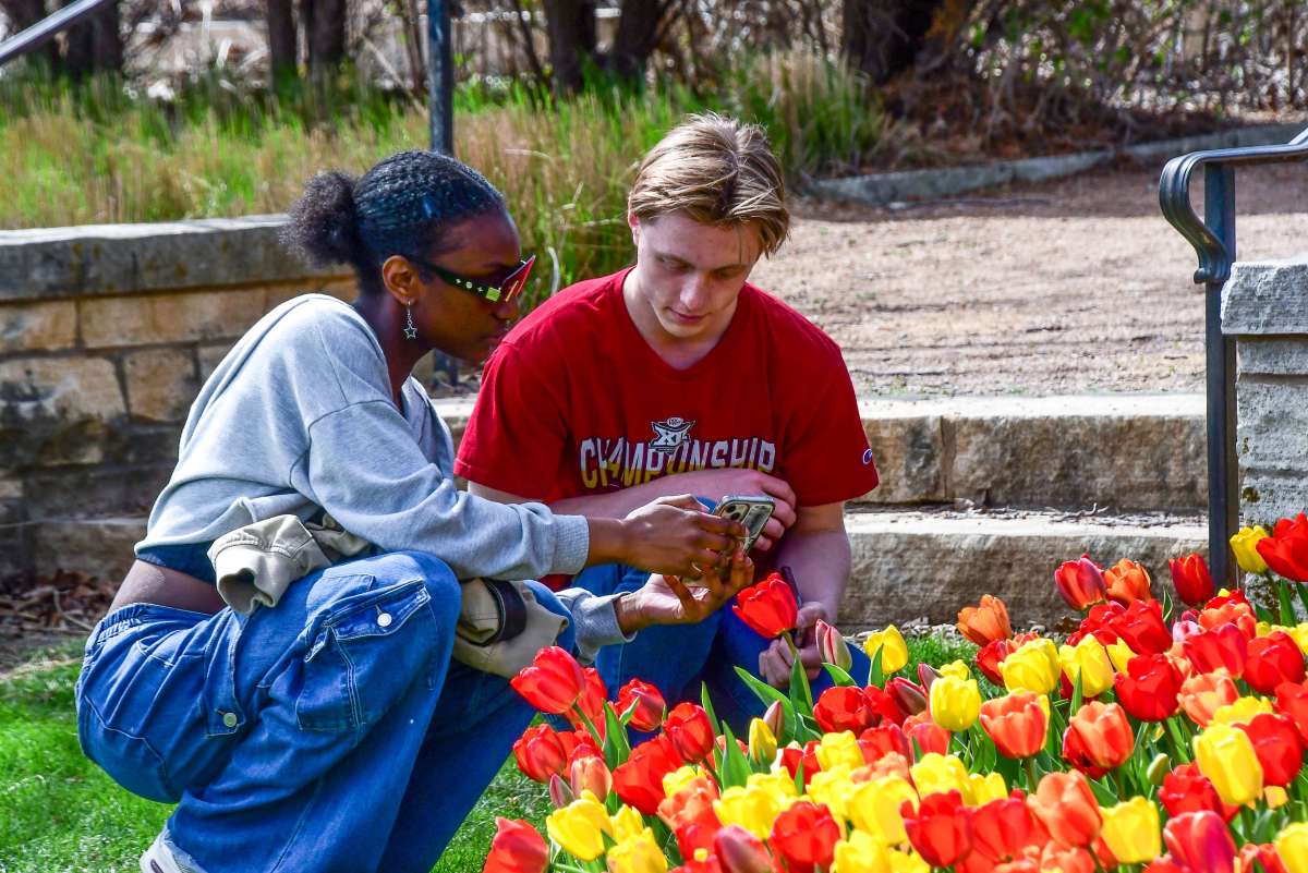 Young adults taking close up picutres of tulips
