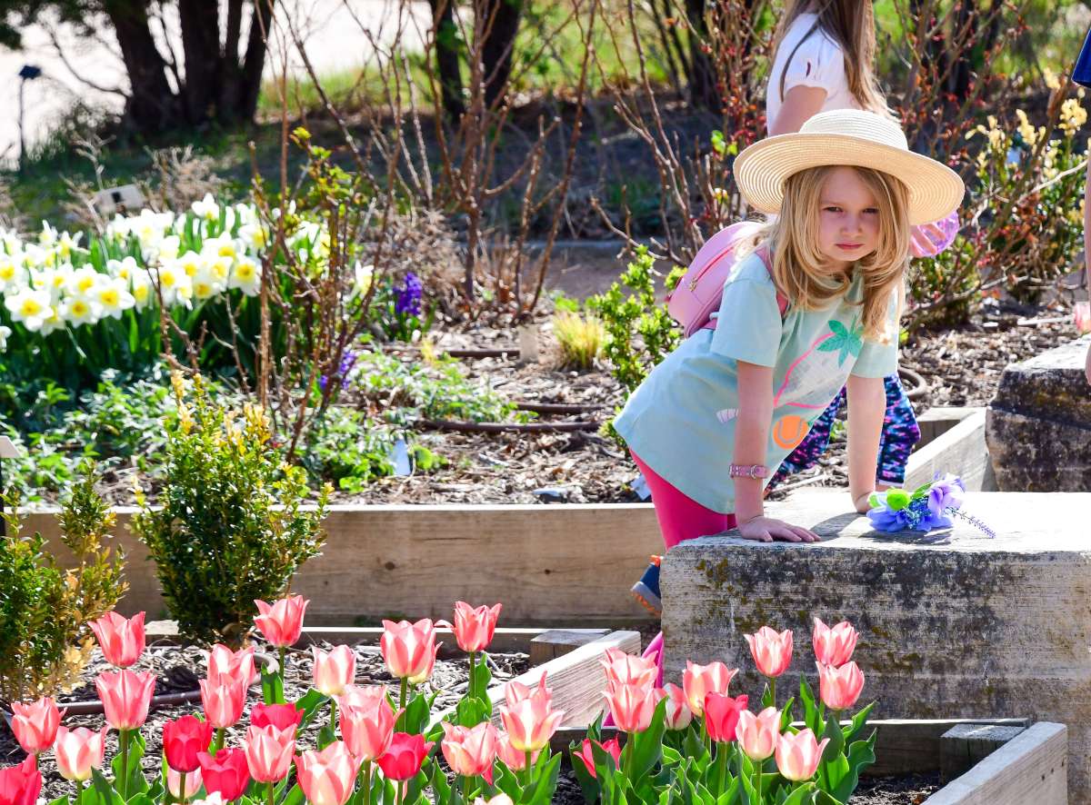 Young girl in hat looking at tulips
