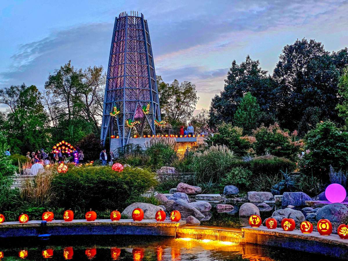 Pumpkins line a reflecting pool in a large garden with a lighted tower in the background