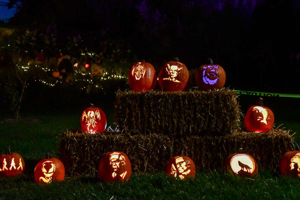 A nighttime outdoor display of intricately carved pumpkins with various faces and designs arranged on hay bales on grass.