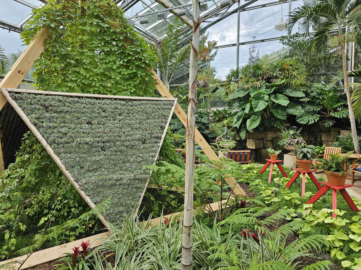 Fall Fractals Display in Hughes Conservatory