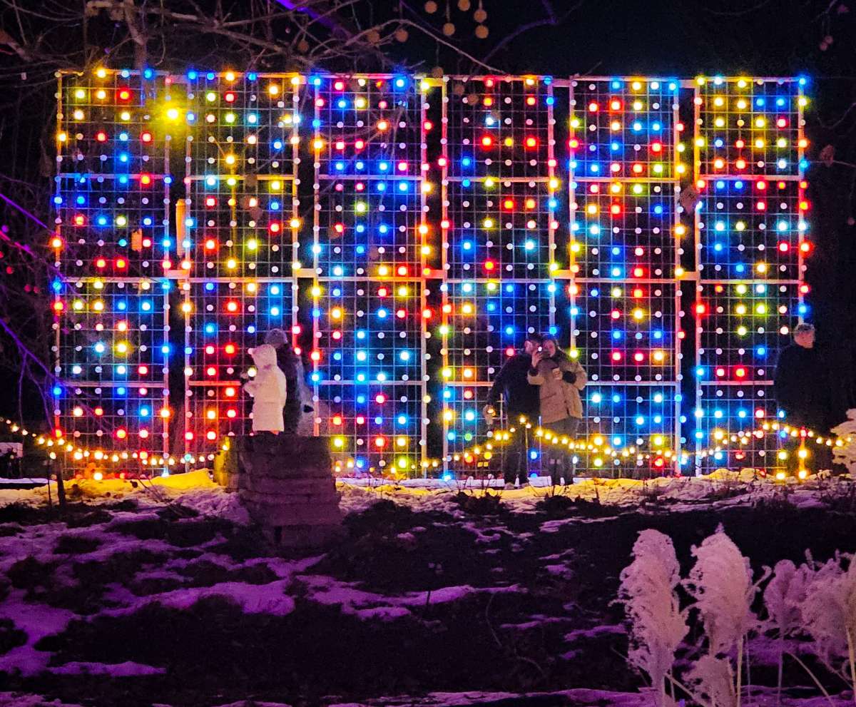 Adults posing in front of a tall lighted display of colorful balls