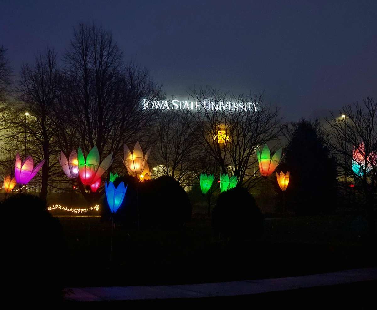 Giant lighted flowers in front of an Iowa State University sign at night