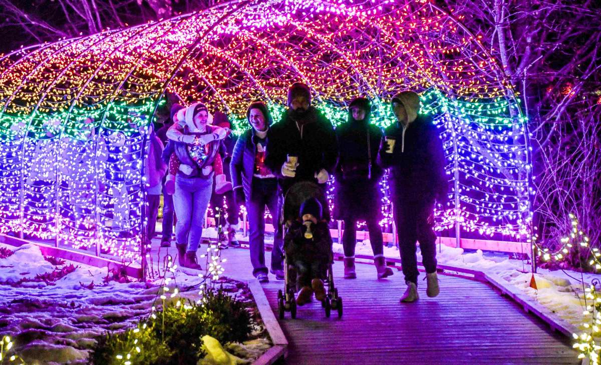 Adults walking through a rainbow-colored lighted tunnel in winter at night