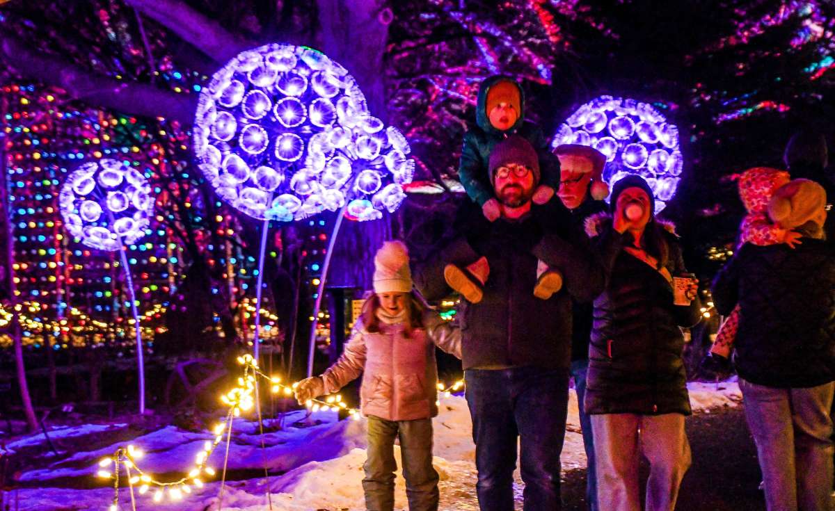 Parents and children walking past giant lighted dandylions at a light show