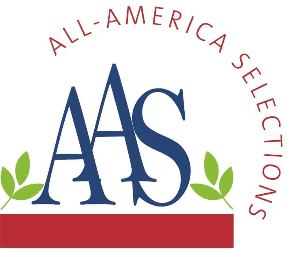 All-American Selections logo