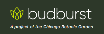 Project BudBurst logo