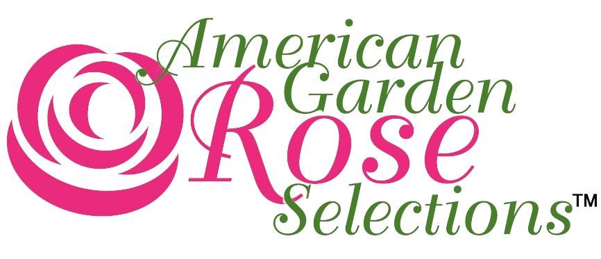 All-American Rose Selections logo