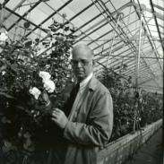 Dr. Griffith Buck with his buck roses.