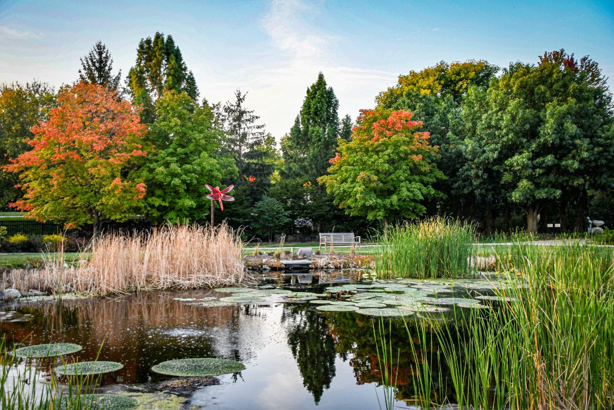 Lake Helen in Fall