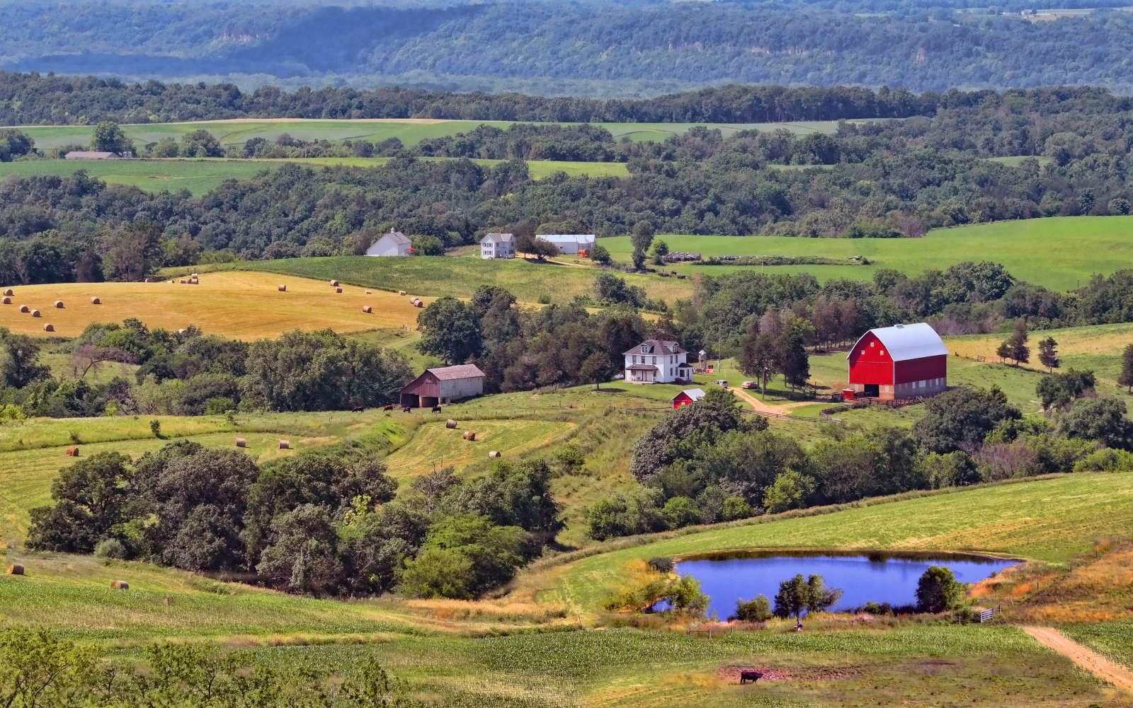 Iowa Farm Landscape