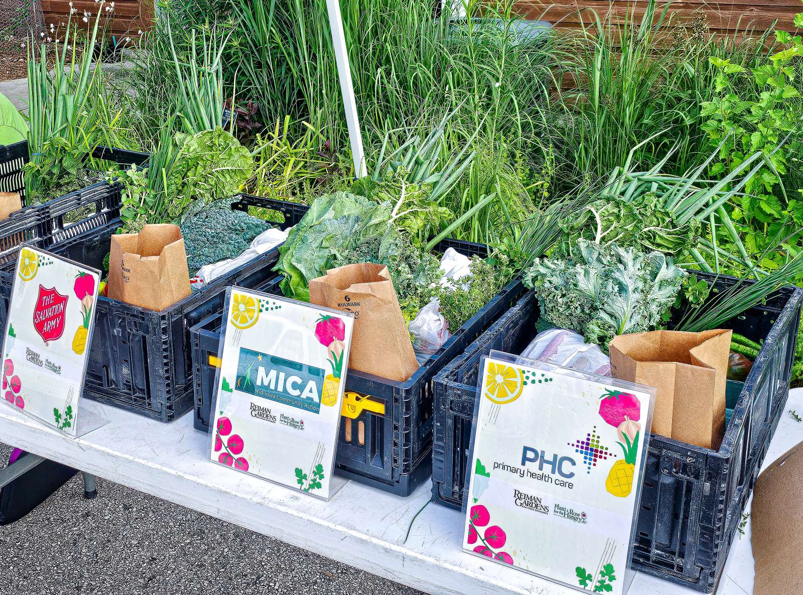 Produce donations for Grow and Give at Reiman Gardens