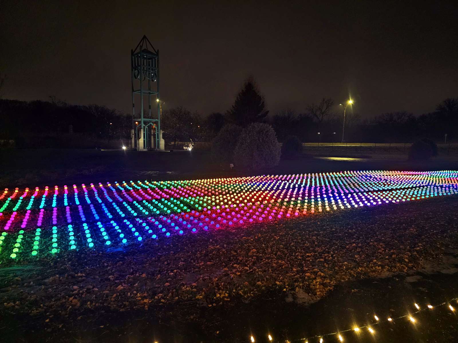 College of Engineering Project at Winter Wonderscape at Reiman Gardens