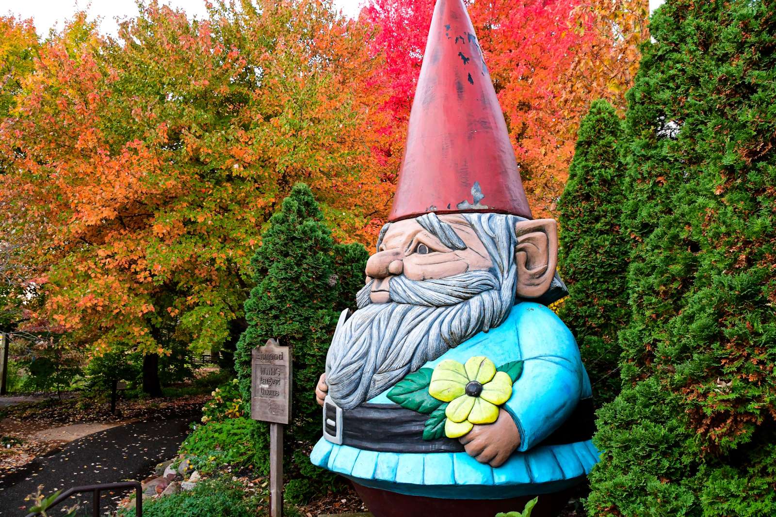 Elwood the World's Largest Concrete Gnome and fall foliage at Reiman Gardens