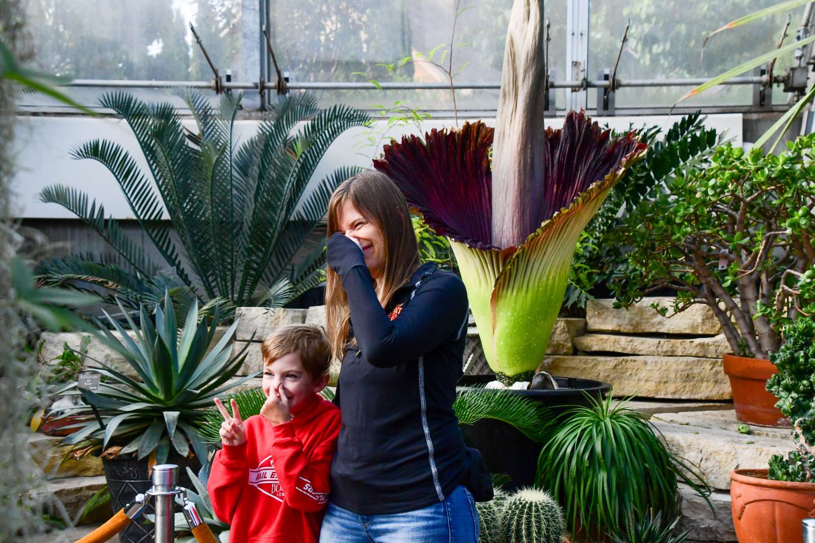 Stink Floyd blooms at Reiman Gardens