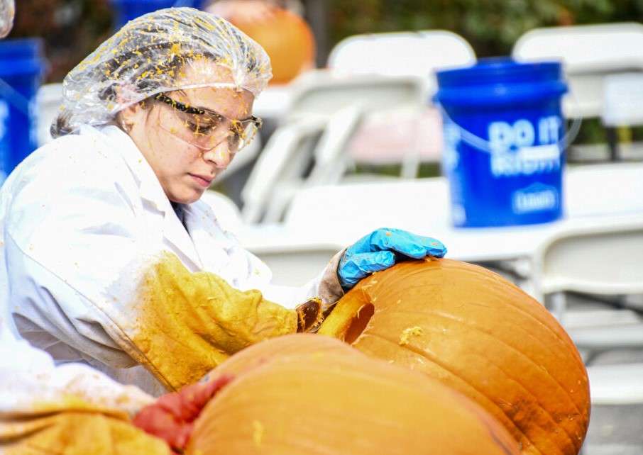 A volunteer covered from head to toe in protective gear, scoops guts out of a hollowed pumpkin.