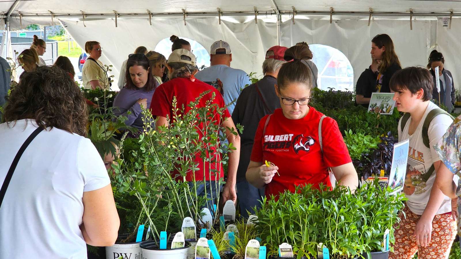 Adults shopping for plants in a large tent