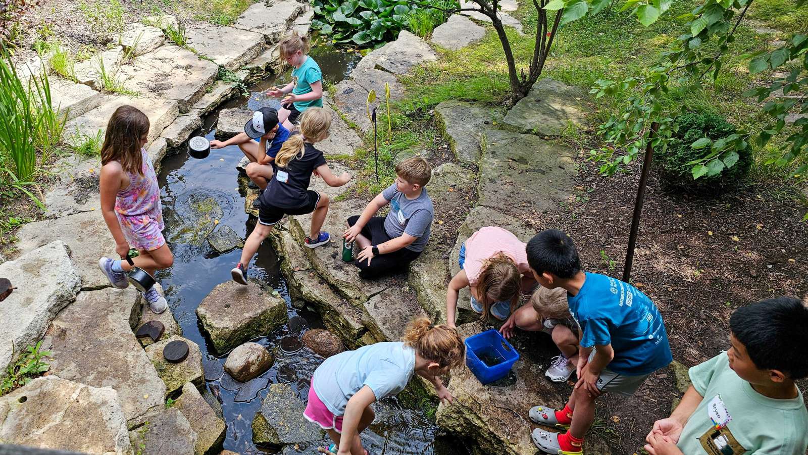Children doing science experiments near a stream