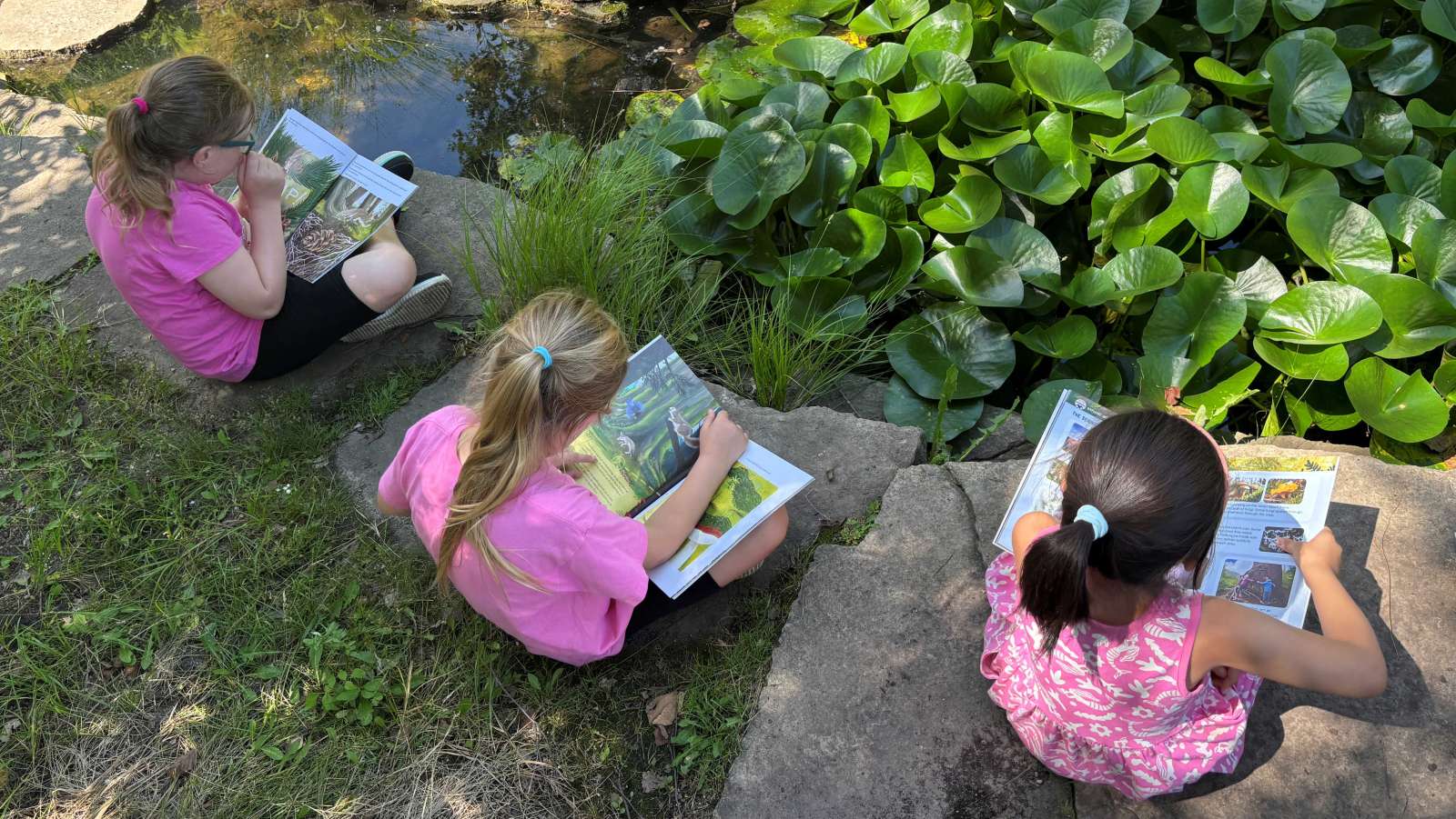 Three girls reading books by a stream