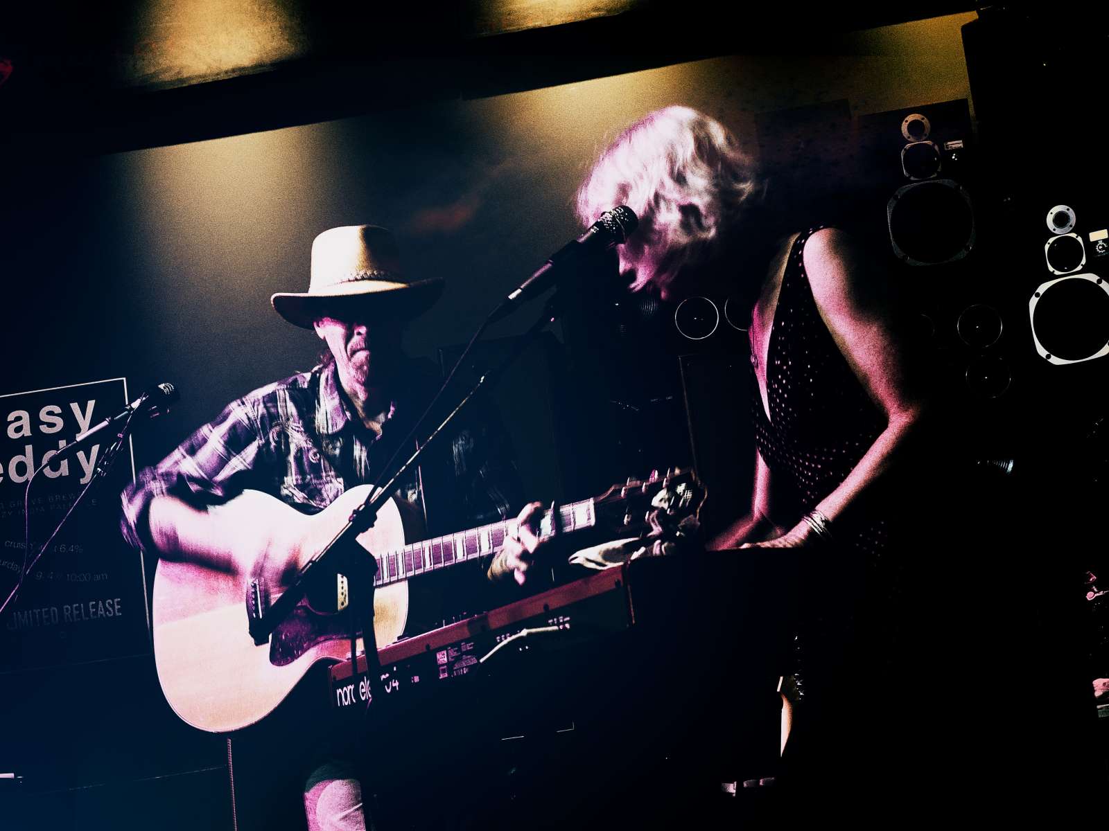 Society of Broken Souls musical group Goldfinch Room Concert Series