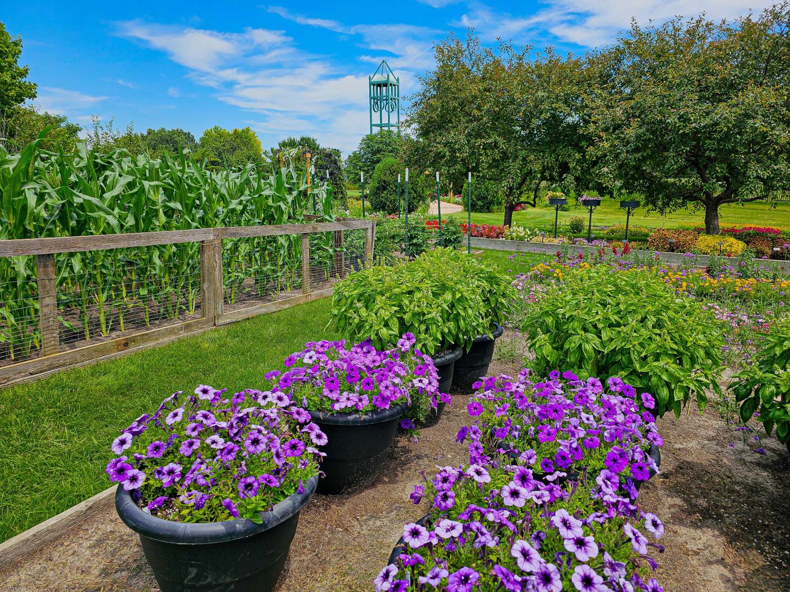 Trial Gardens at Reiman Gardens