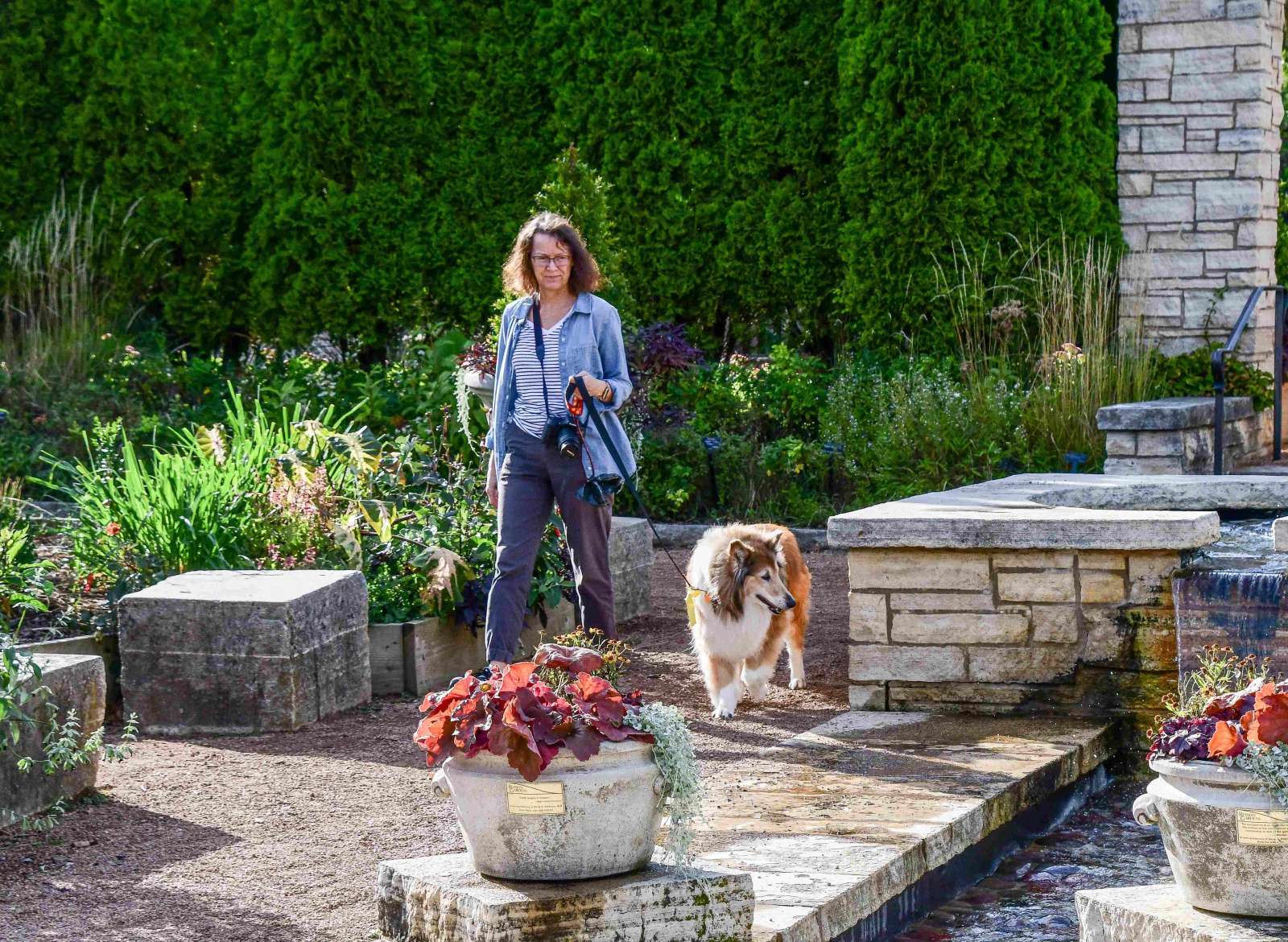 Woman walking a dog in a public garden