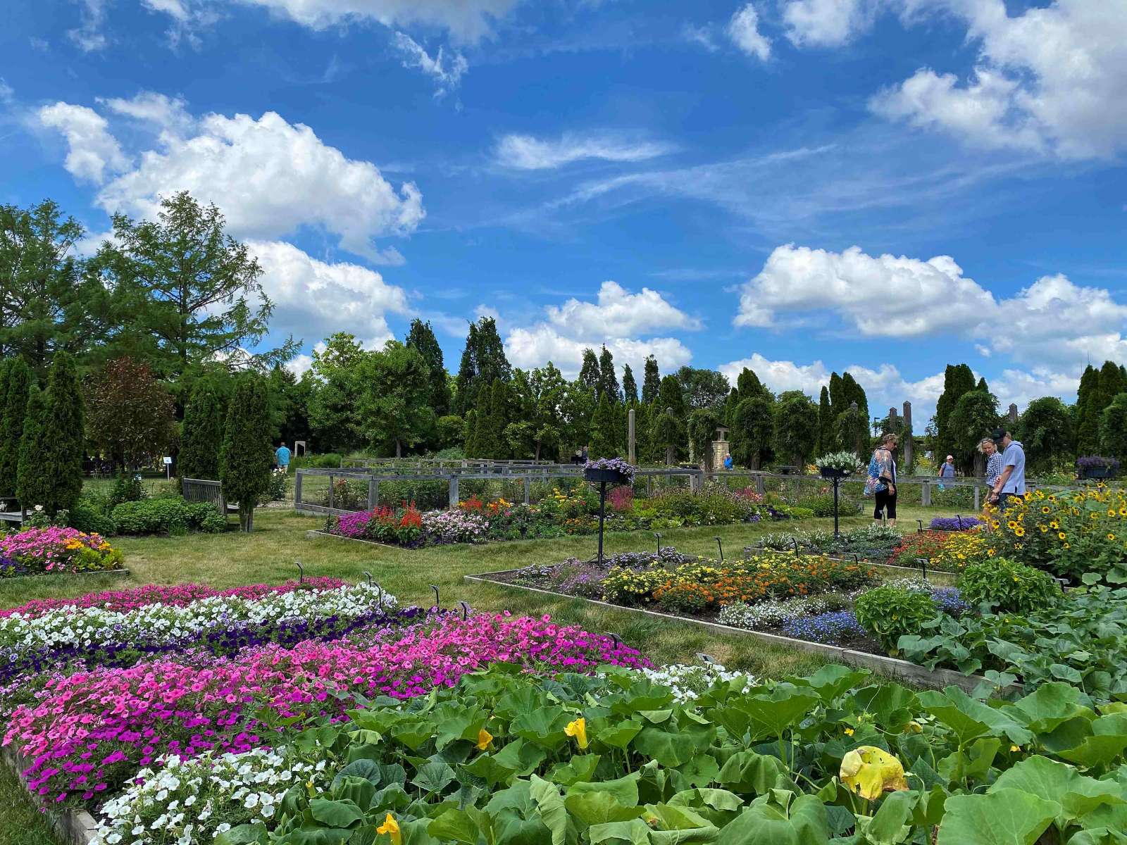 People strolling through colorful gardens