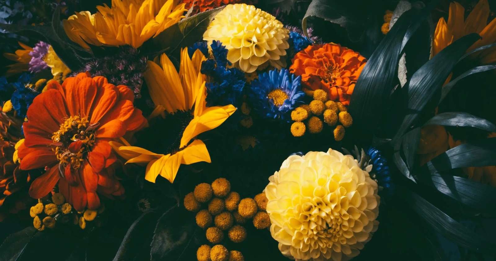 Autumn flowers in shades of yellow, orange and blue.